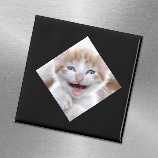 Foto mit Diagonal Magnet