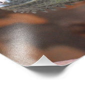 Foto mit farbiger Iguana-Eidechse (Ecke)