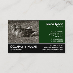 Foto mit Footen - Graugänse (Sepia) Visitenkarte