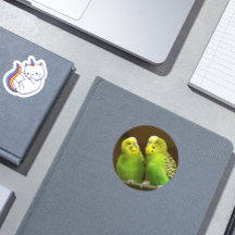 Foto mit grünen und gelben Parakets