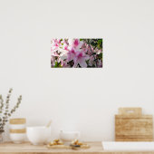 Foto mit rosa Azaleen Poster (Küche)