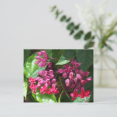 Foto mit roter Blutung Postkarte (Stehend Vorderseite)