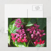 Foto mit roter Blutung Postkarte (Vorne/Hinten)