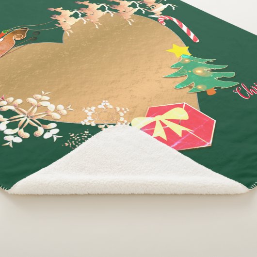 Foto mit Weihnachtsmann Sherpadecke (3/4)