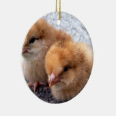 Foto mit zwei Rhode Island Rot-Küken Keramikornament (Rechts)