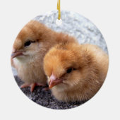 Foto mit zwei Rhode Island Rot-Küken Keramikornament (Hinten)