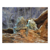 Foto mit zwei seltsamen Eidechsen (Vorne)