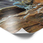 Foto mit zwei seltsamen Eidechsen (Ecke)