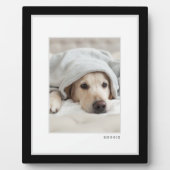 Foto | Modernes Schwarz-Weiß-Rahmen-Pet Fotoplatte (Vorderseite)