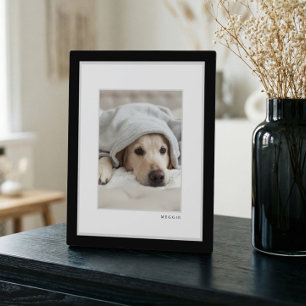Foto   Modernes Schwarz-Weiß-Rahmen-Pet Fotoplatte