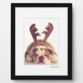 Foto | Modernes Schwarz-Weiß-Rahmen-Pet Fotoplatte (Vorderseite)