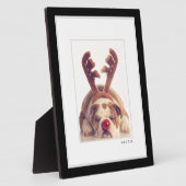 Foto | Modernes Schwarz-Weiß-Rahmen-Pet Fotoplatte (Seite)