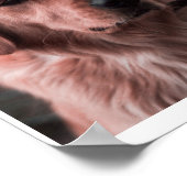 Foto Monogram Add your own Images Poster (Ecke)