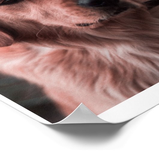 Foto Monogram Add your own Images Poster (Ecke)