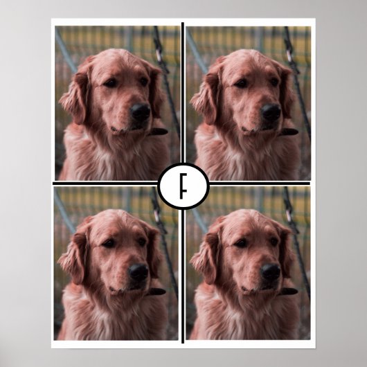 Foto Monogram Add your own Images Poster (Vorne)