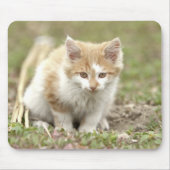 Foto Mousepad (Vorne)