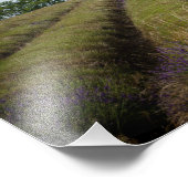 Foto nach Ernte (Ecke)