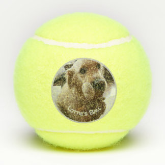 Foto-Name des Hundes Spielzeug Tennisbälle