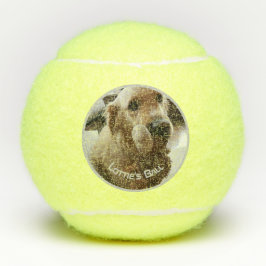 Foto-Name des Hundes Spielzeug Tennisbälle