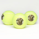 Foto-Name des Hundes Spielzeug Tennisbälle (Multi)