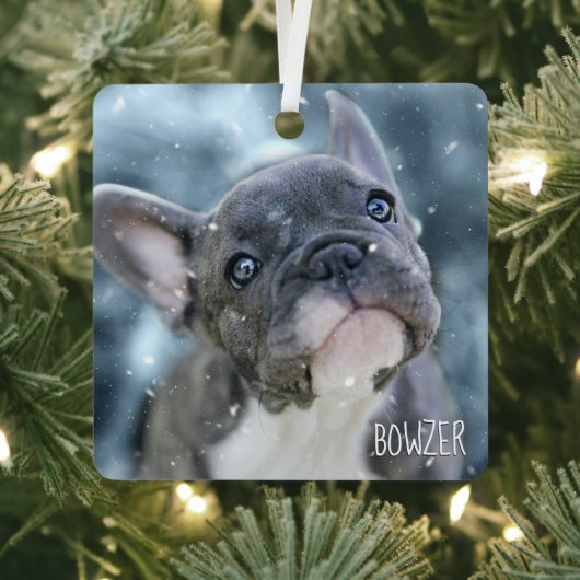 Foto + Name 🐶🐱 Personalisiert Bester Hund oder W Ornament Aus Metall (InSitu)