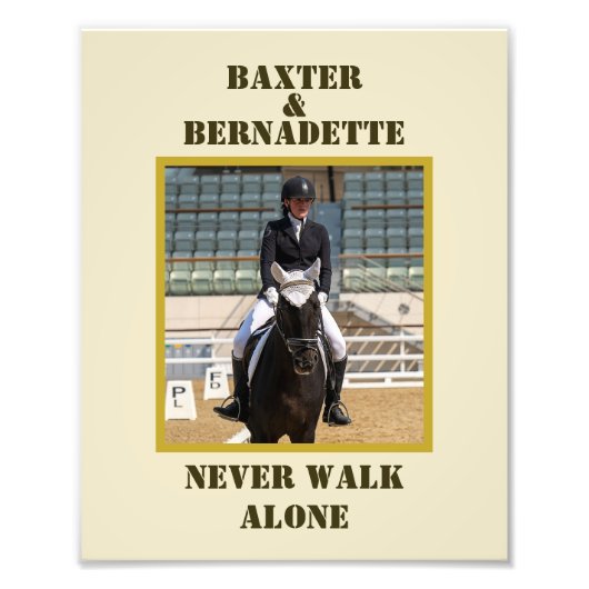 Foto Name Pferdebesitzer Lover (Vorne)