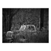 Foto "Nature, Take the Wheel" (Vorne)