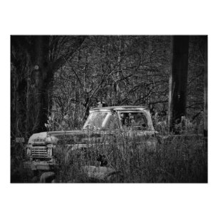 Foto "Nature, Take the Wheel"
