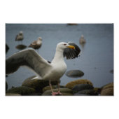 Foto nicht stören (Vorne)