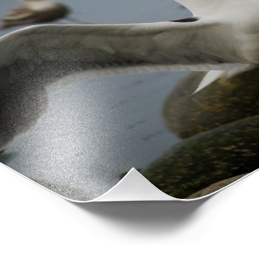 Foto nicht stören (Ecke)