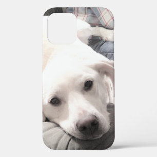 Foto Niedlichen müden Hund mit Vater auf Couch Case-Mate iPhone Hülle