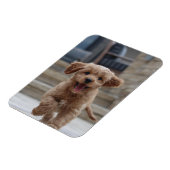 Foto | Niedlicher Adorable Hund hochladen Magnet (Linke Seite)