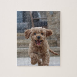 Foto | Niedlicher Adorable Hund hochladen Puzzle