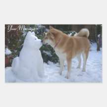 Foto niedlicher akita kissender Schneemann akita H