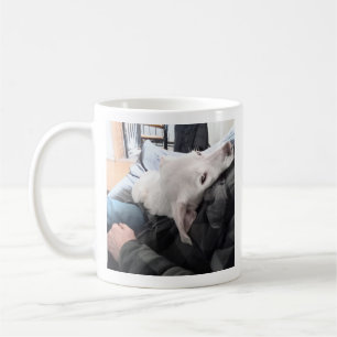 Foto Niedlicher Hund Bester Vater und Pal je Kaffeetasse