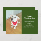 Foto Niedlicher Junghunde mit sonnigen Ohren Postkarte (Vorne/Hinten)