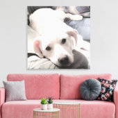 Foto Niedlicher, müde Hund mit Vater auf Couch Squ Leinwanddruck (Insitu (Wohnzimmer))