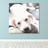 Foto Niedlicher, müde Hund mit Vater auf Couch Squ Leinwanddruck (Insitu (Holzboden))