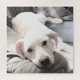 Foto Niedlicher, müde Hund mit Vater auf Couch Squ Puzzle