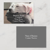 Foto Niedlicher schlafender weißer Hund auf Couch Visitenkarte (Vorne/Hinten)