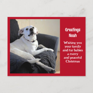 Foto Niedlicher Vortrag Hund Roter Weihnachten Postkarte