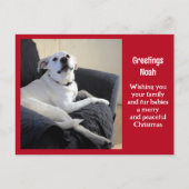 Foto Niedlicher Vortrag Hund Roter Weihnachten Postkarte (Vorderseite)