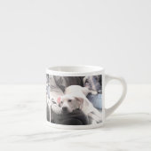 Foto Niedlicher weißer Hund mit bester Freundschaf Espressotasse (Rechts)