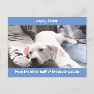 Foto Niedlicher weißer Hund mit Vater blau Feiertagspostkarte