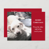 Foto Niedlicher weißer Hund mit Vater Weihnachten (Vorne/Hinten)