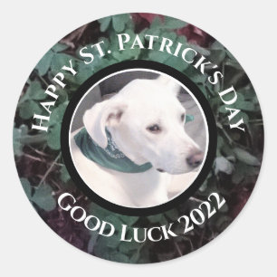 Foto Niedlicher weißer Hunde Grüne Kleeblätter Runder Aufkleber