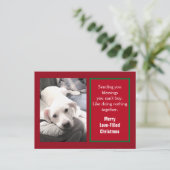 Foto Niedlicher Welpenhund mit Vater Weihnachten (Stehend Vorderseite)