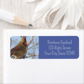 Foto Nördlicher Kardinal (Insitu)