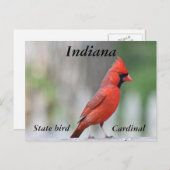 Foto Nördlicher Kardinal Postkarte (Vorne/Hinten)