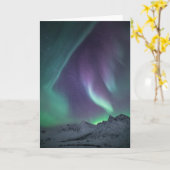 Foto Nordlichtlandschaft Karte (Gelbe Blume)